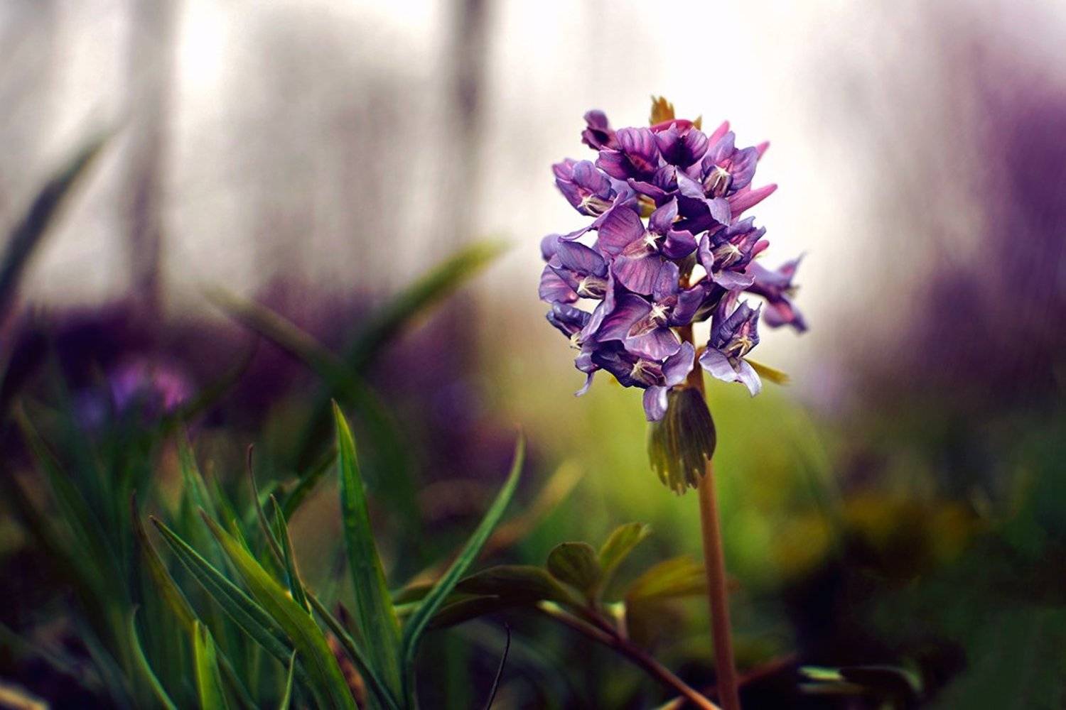 , Касянчук Валентин
