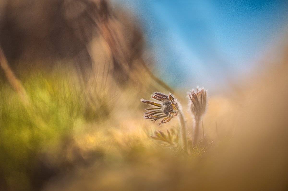 , Татьяна Аверина