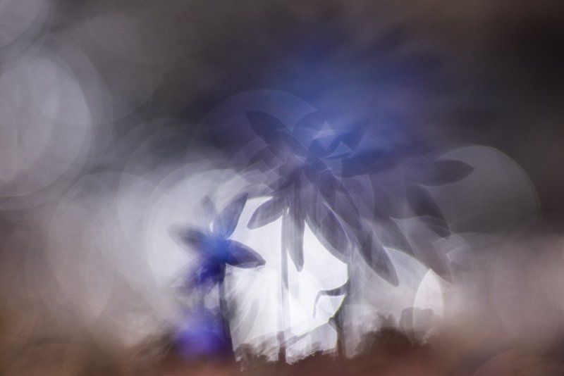 Калейдоскоп  фото превью