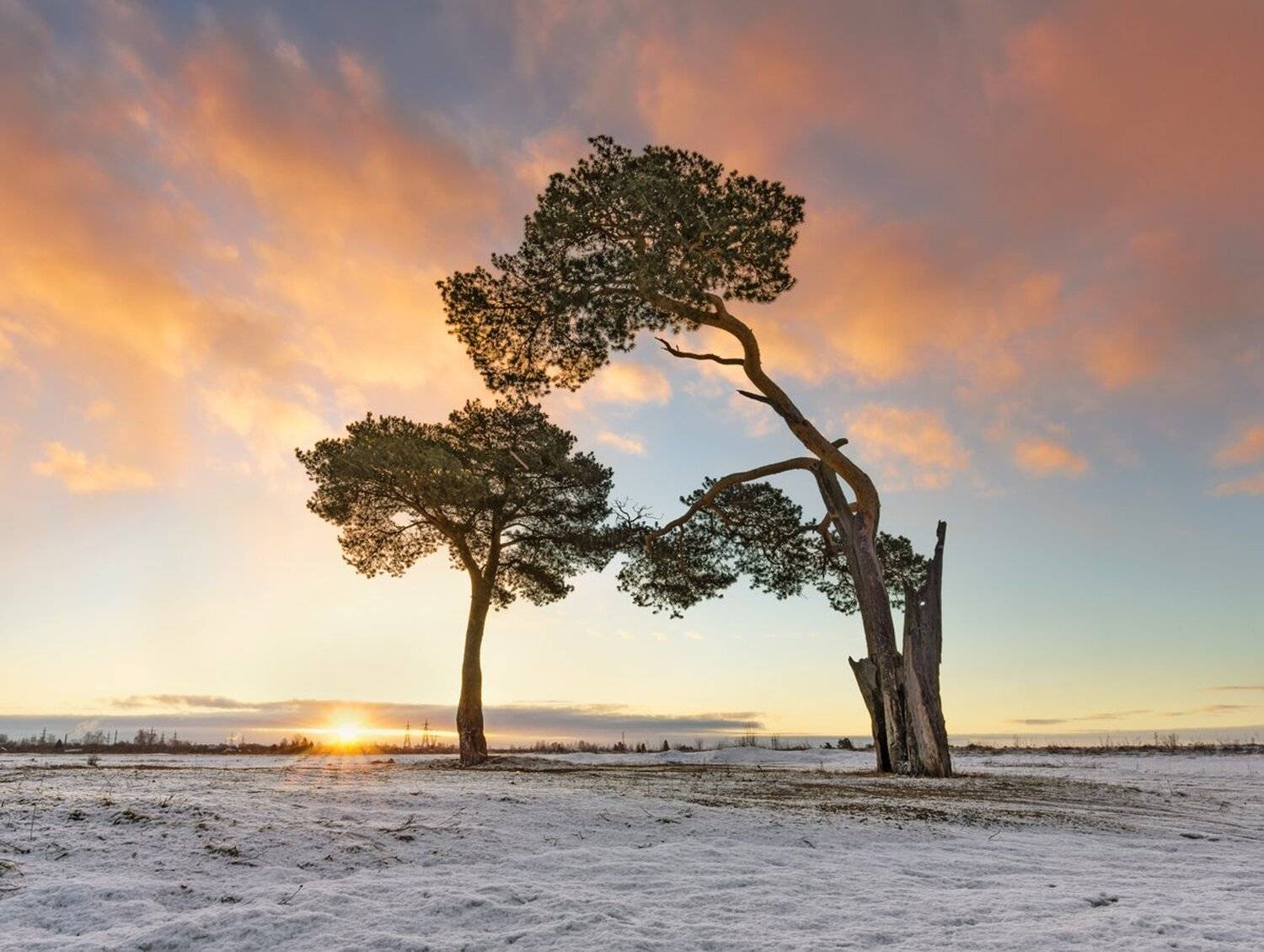 , Николай Андреев