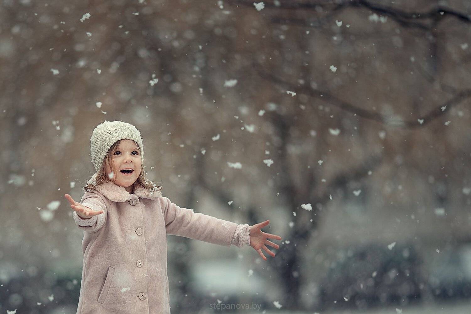 , Дарья Степанова