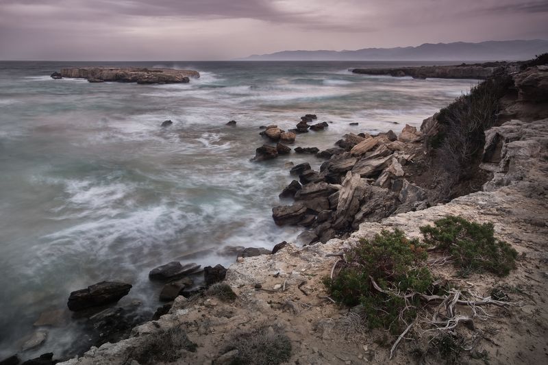 Перед бурей фото превью