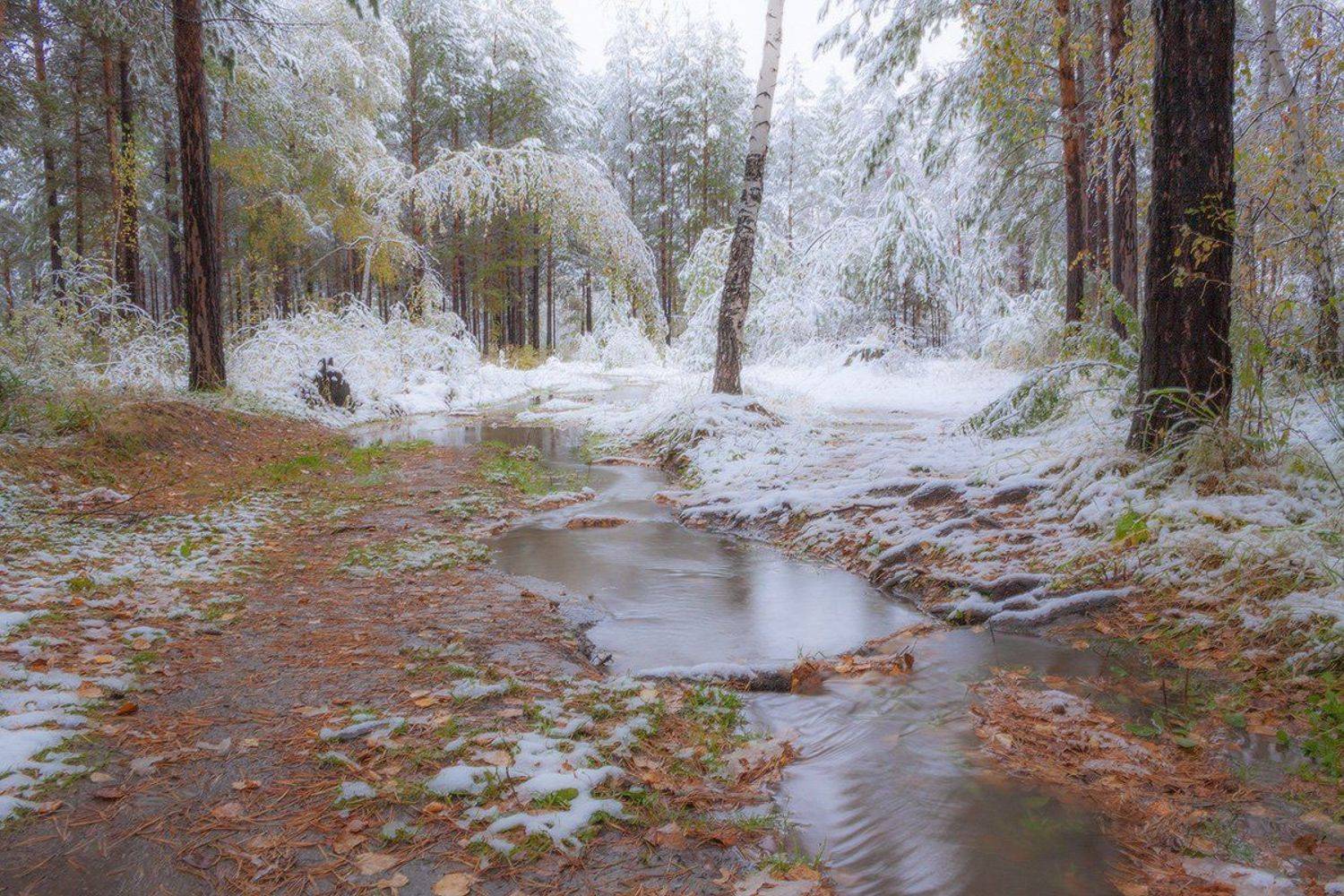 , Николай Морский