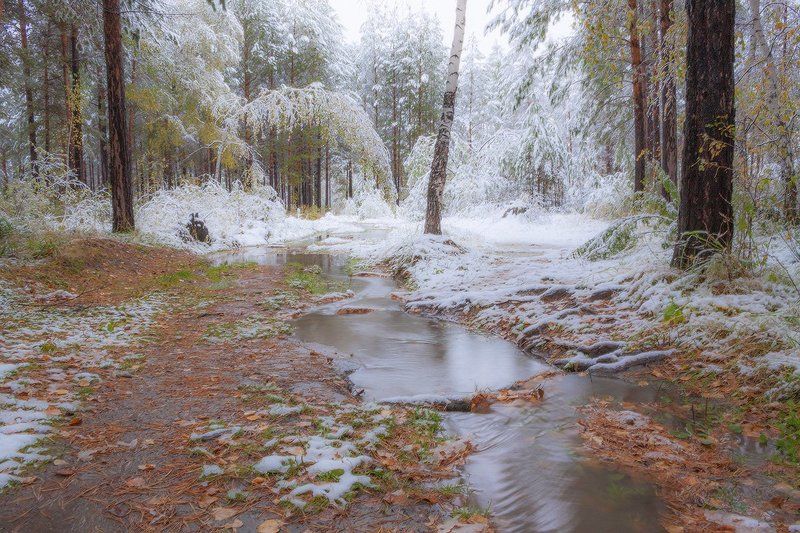 В сентябре фото превью