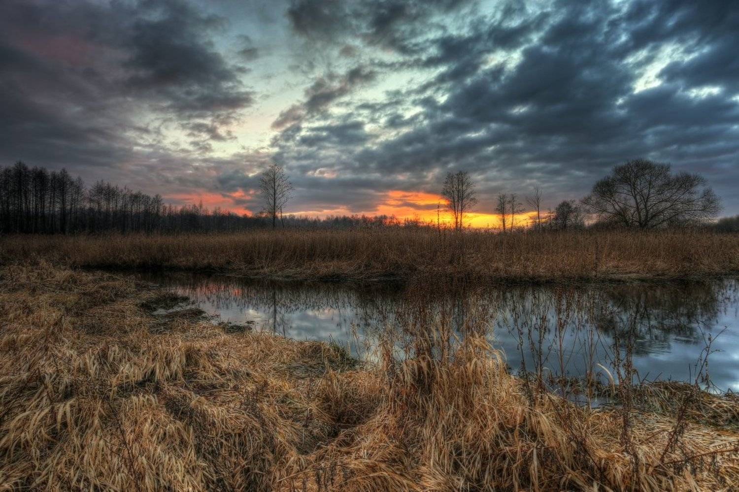 , Андрей Дитковский