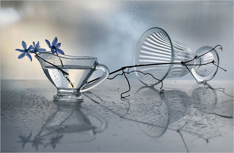 Пролески 3 фото превью