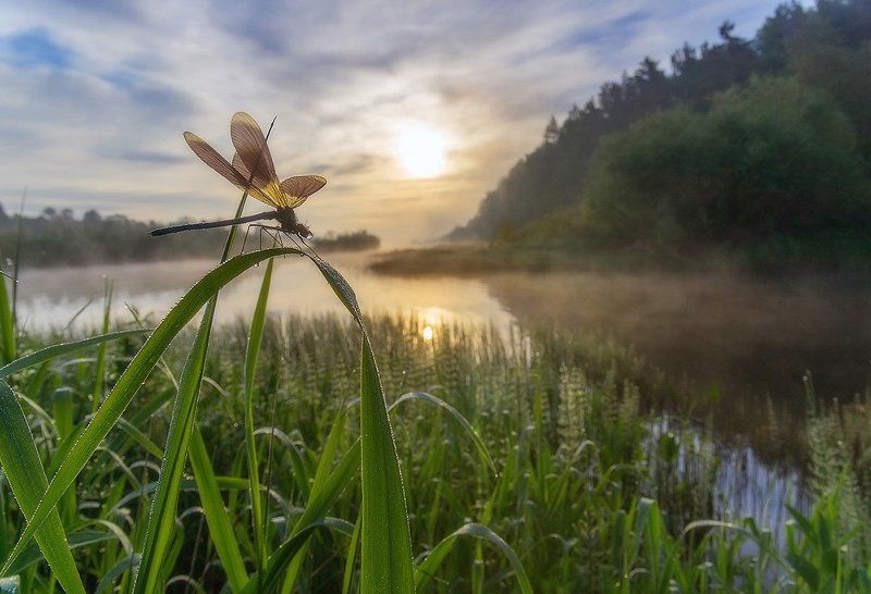 пробуждение фото превью