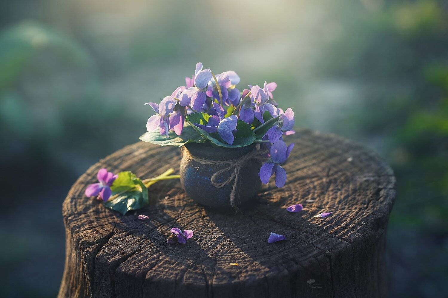 , Инна Сухова