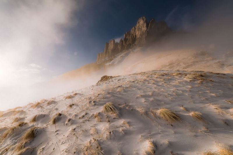 Взял и вылез из ТУМАНА . фото превью