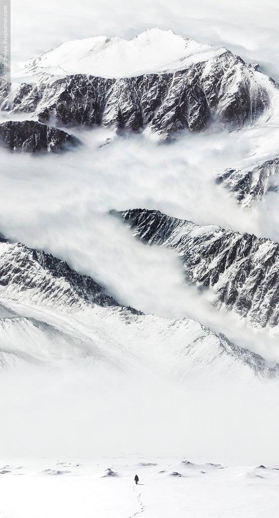 , Анна Аринова