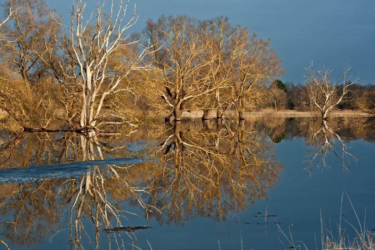***, Валерий Кондратов