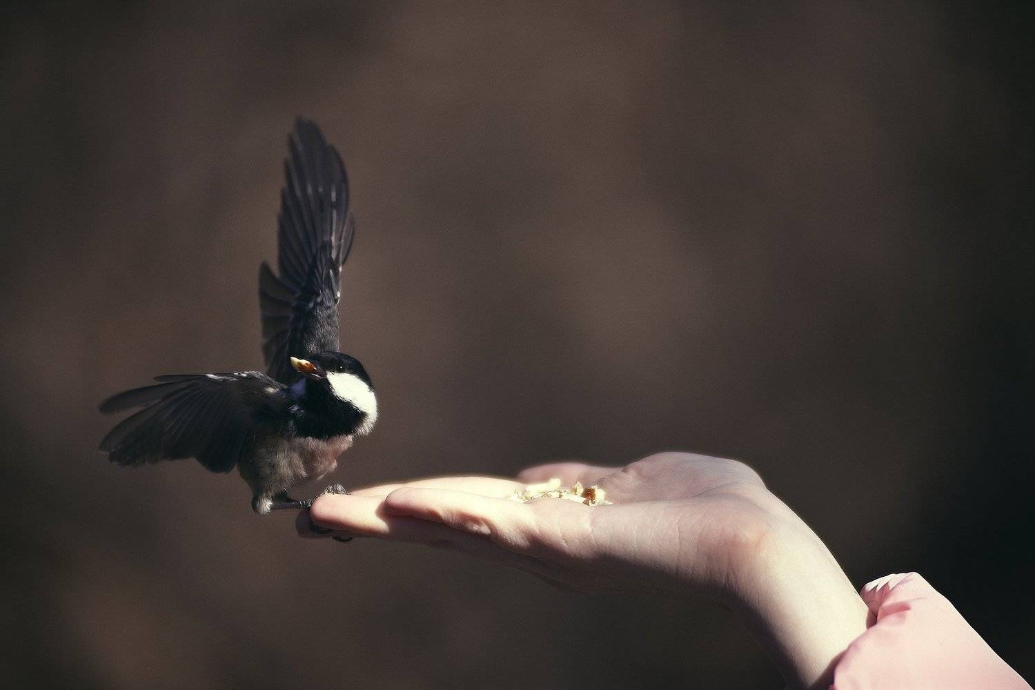 , Сергей Кобылько