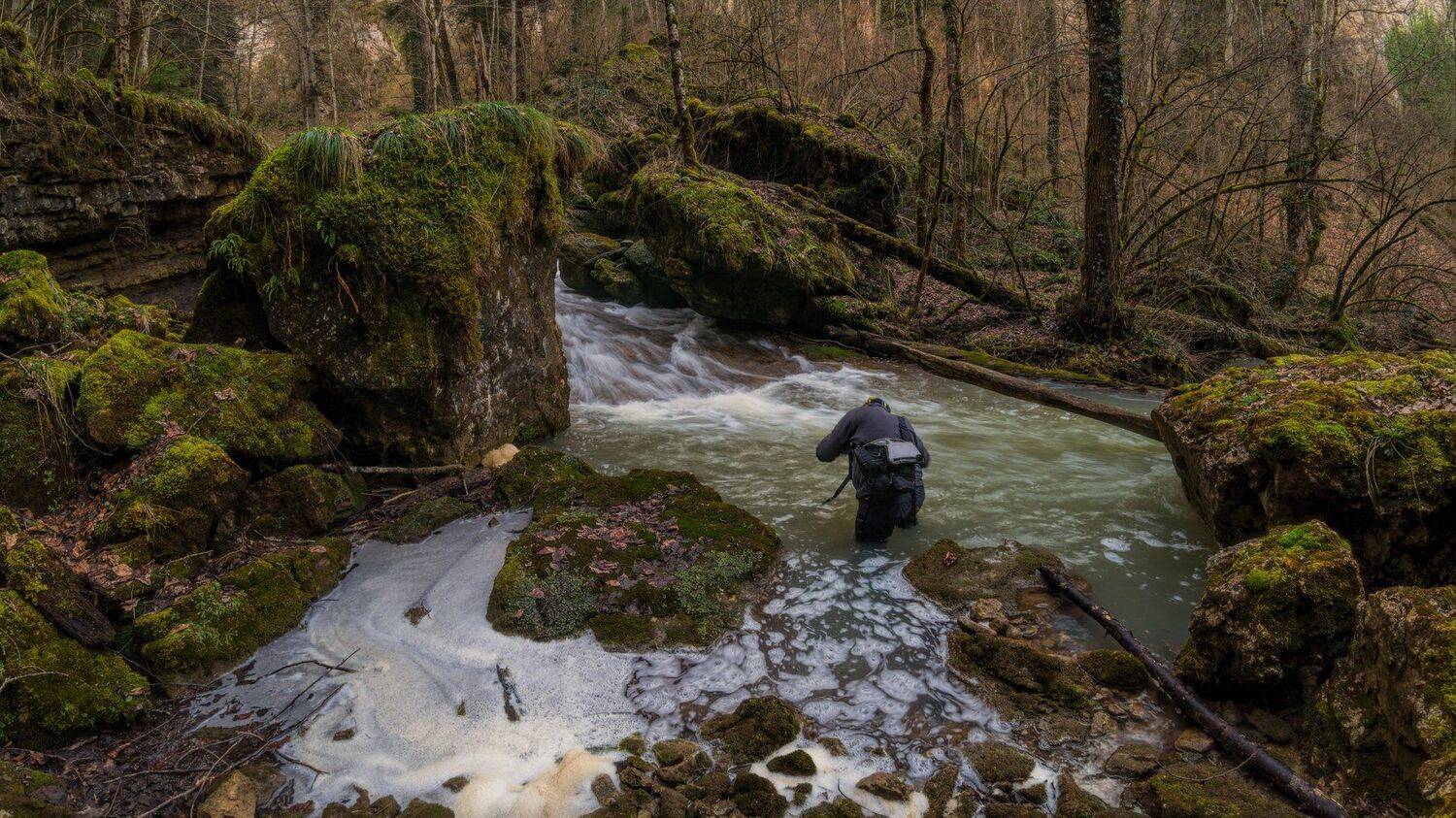 фёдор, мезмай, Alexander Plekhanov