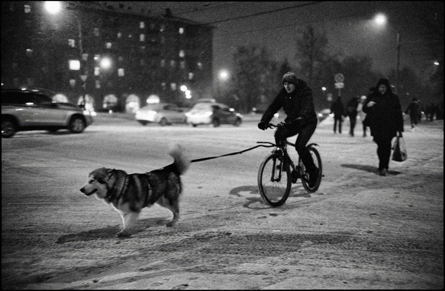 life, Юрий Нездойминога