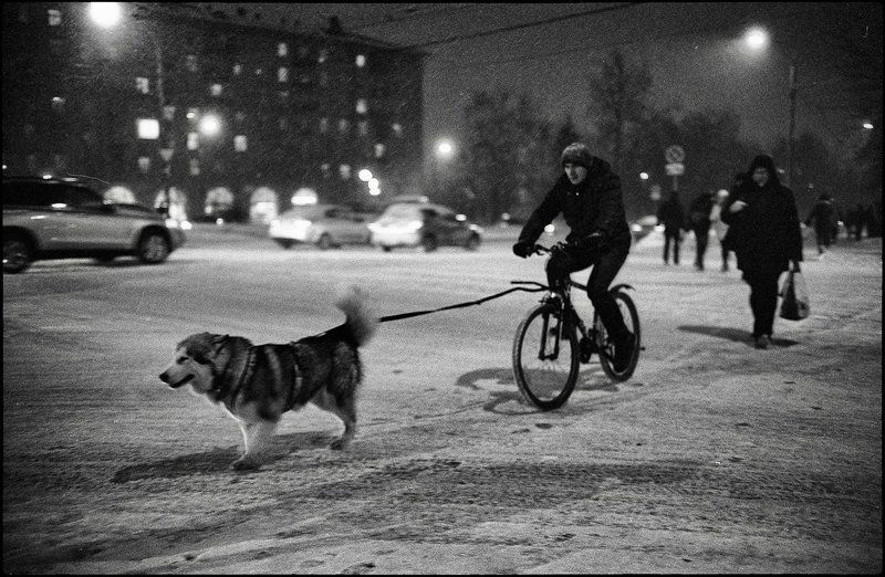 life *** фото превью