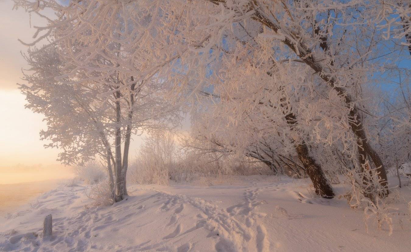 , Евгений Цап