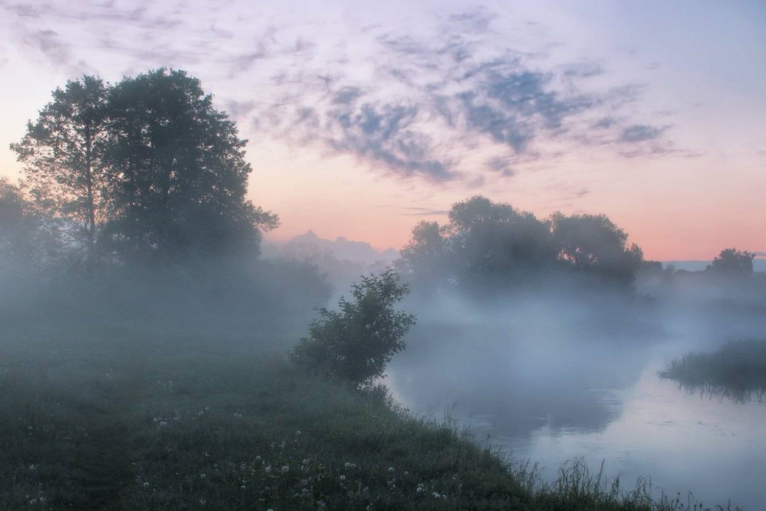 , Игорь Денисов