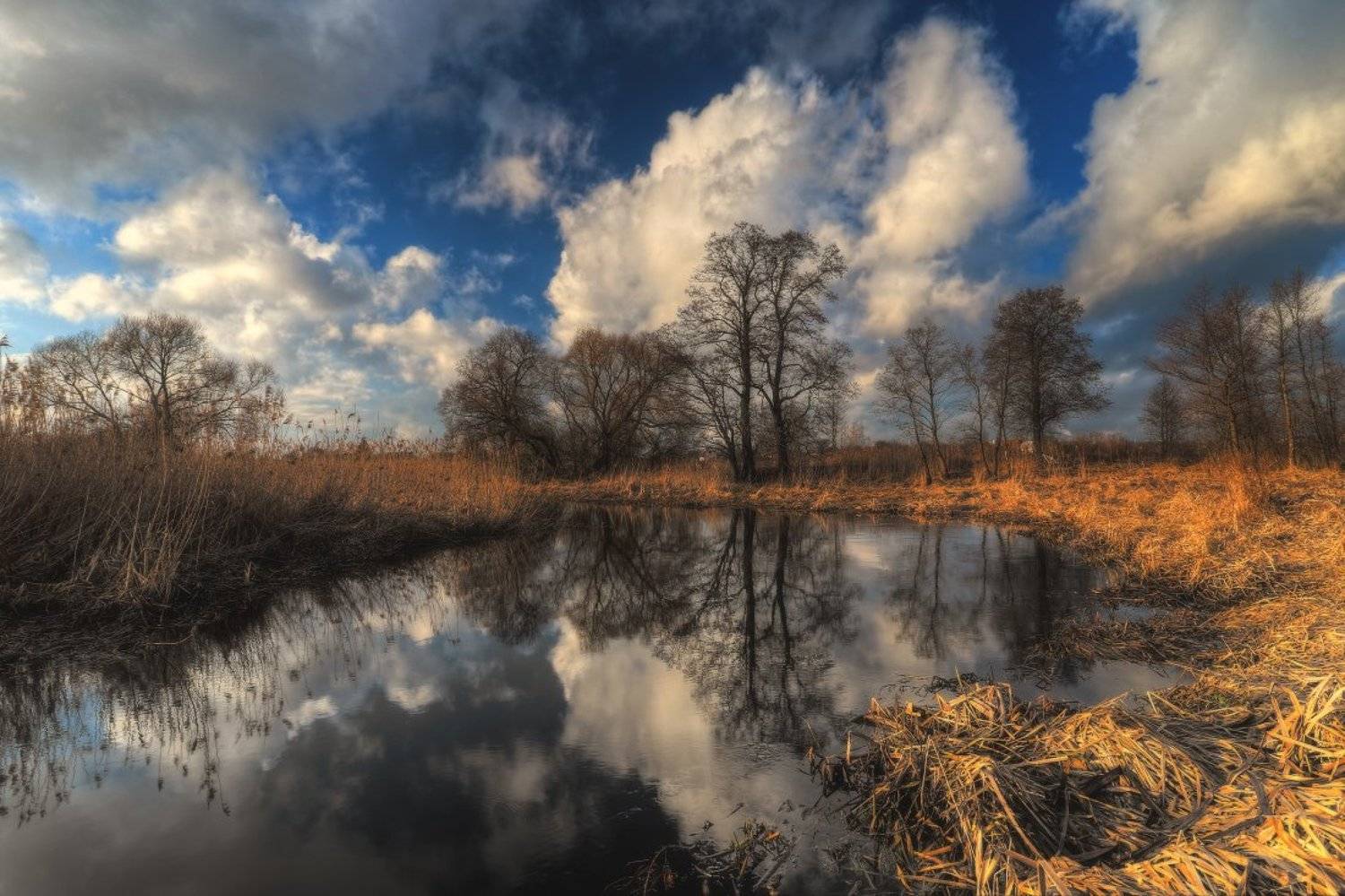 весна,небо, Андрей Дитковский