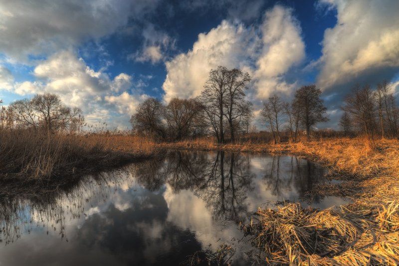 весна,небо Весна.. фото превью