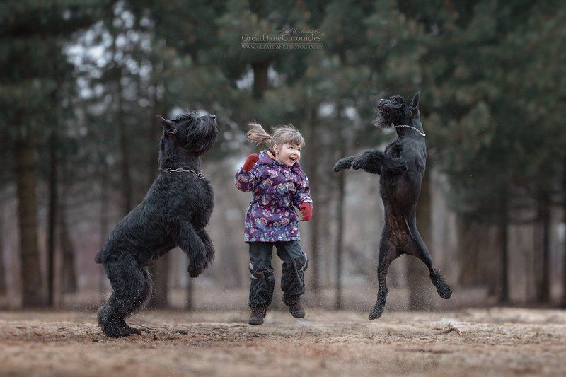ROCK'N ROLL