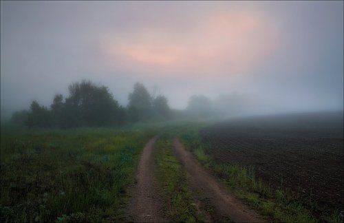 Туман