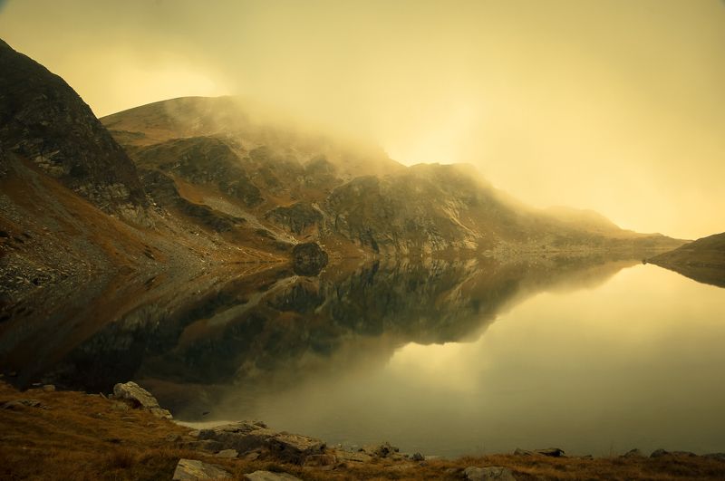 nikon d90 бъбрека фото превью