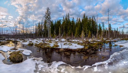 Весна в Ленобласти (март и апрель). Просыпаются леса, реки и поля!