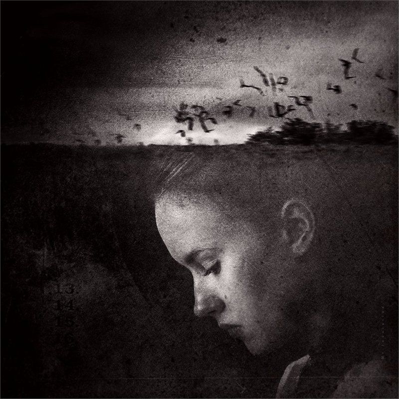 13 фото превью