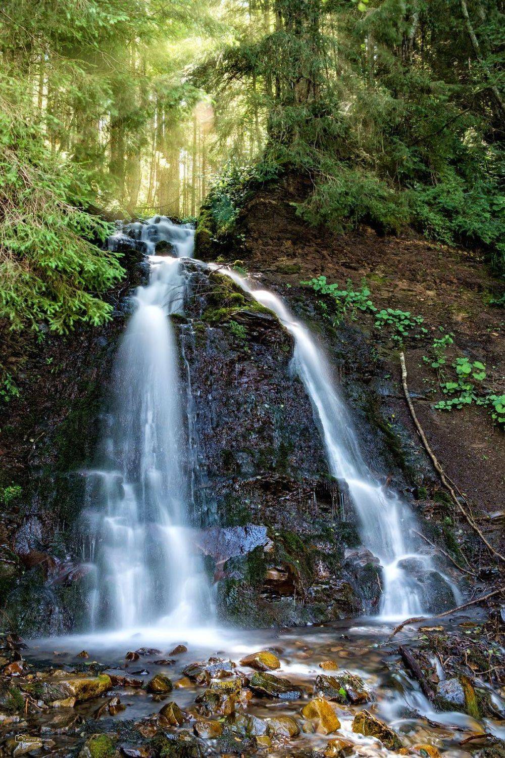 , Леонид Морозов