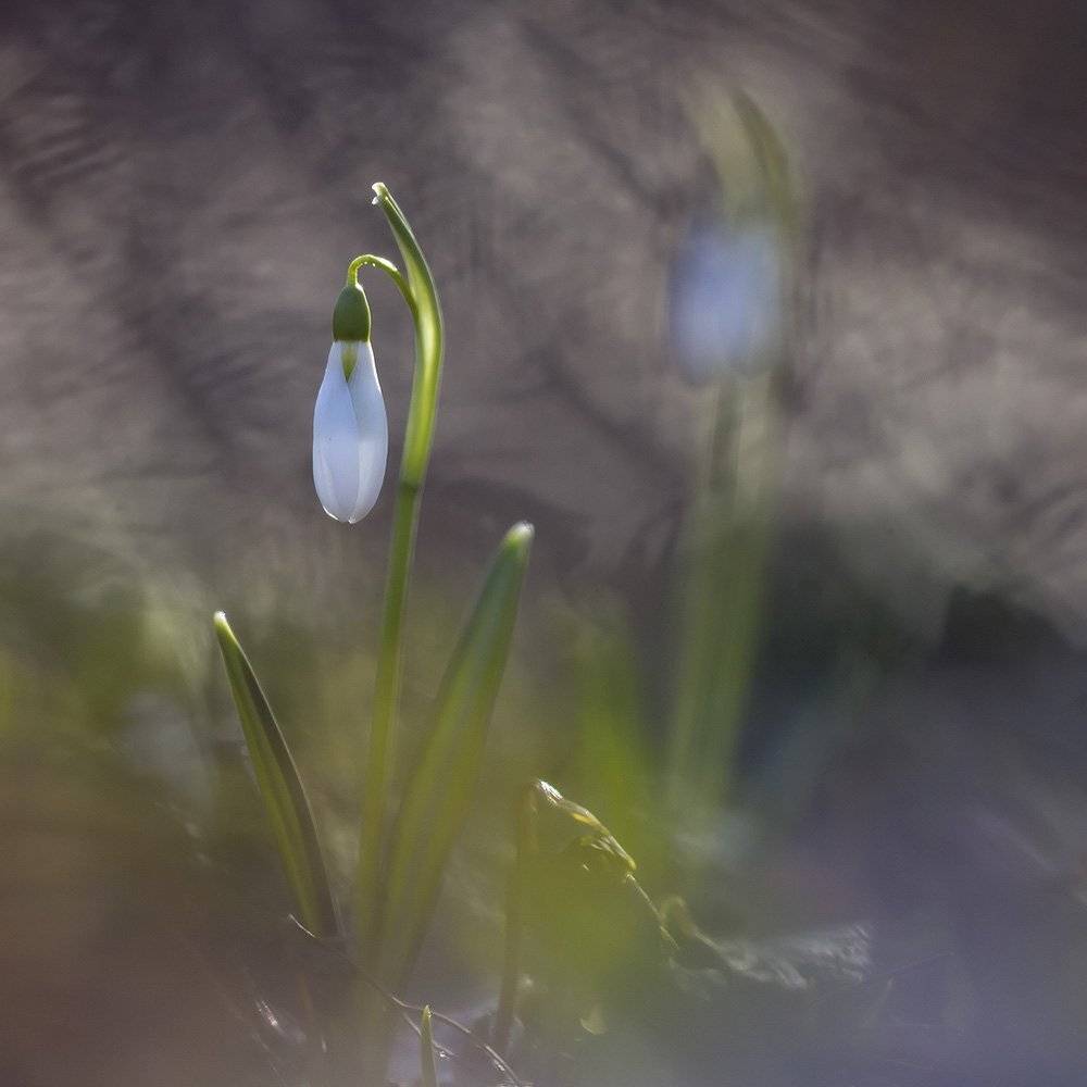 , Иваненко Светлана