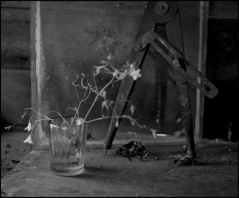 Эликсир молодости фото превью