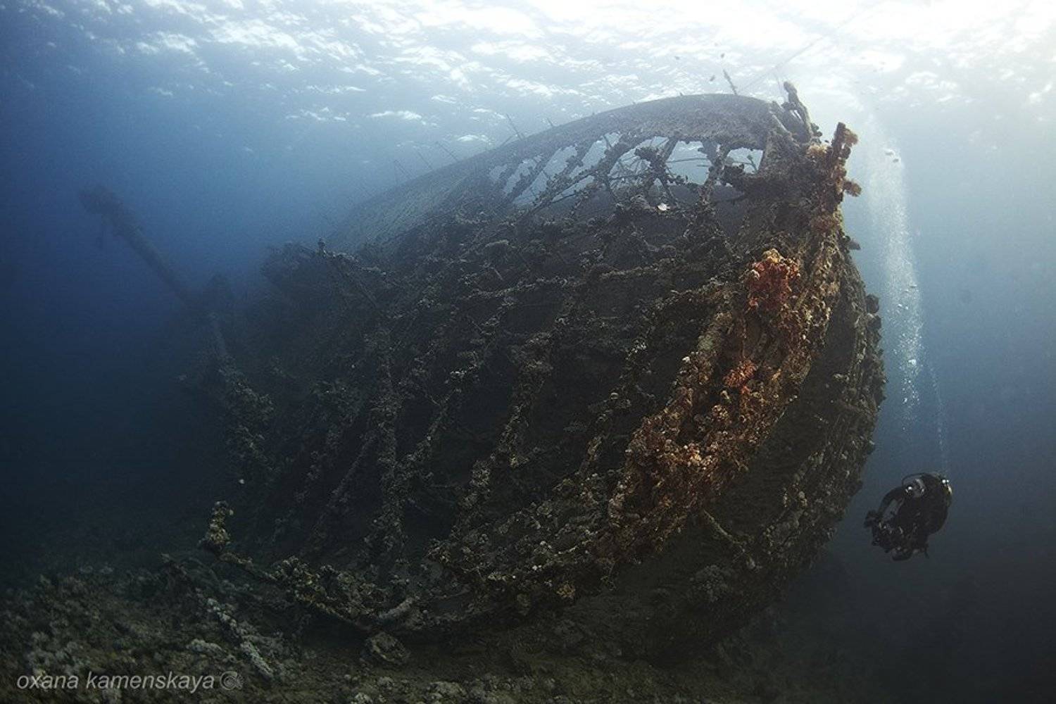 wreck, underwater, umbria, sudan, Оксана Каменская