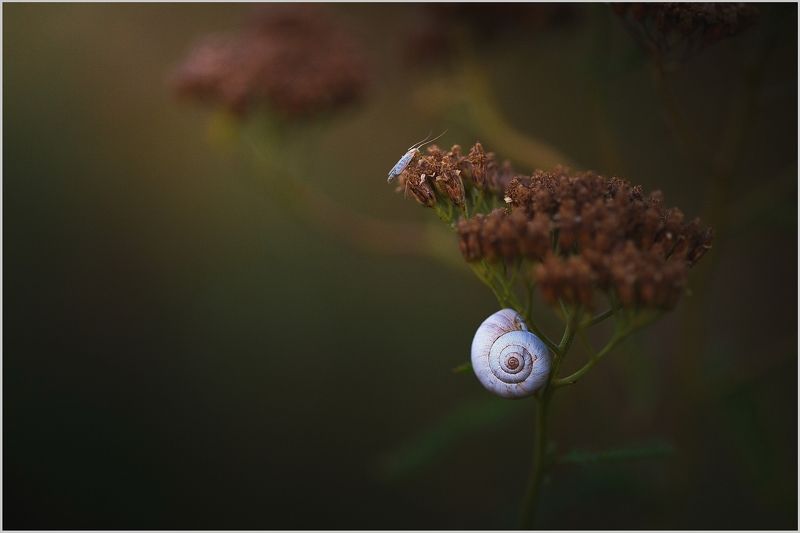 Вечернее. Август СКФО. фото превью