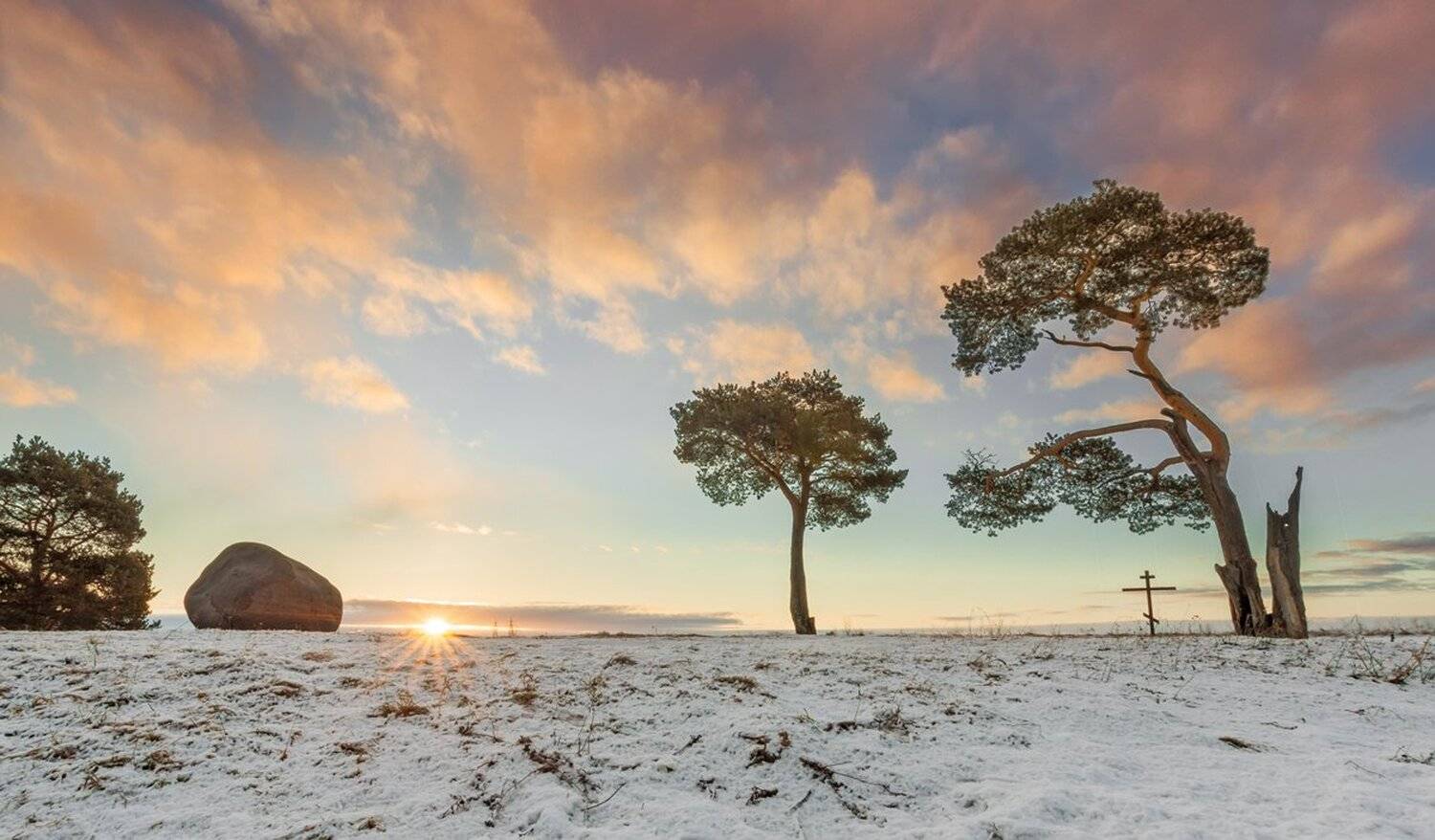 , Николай Андреев