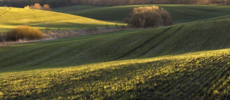 Мартовские линии... фото превью