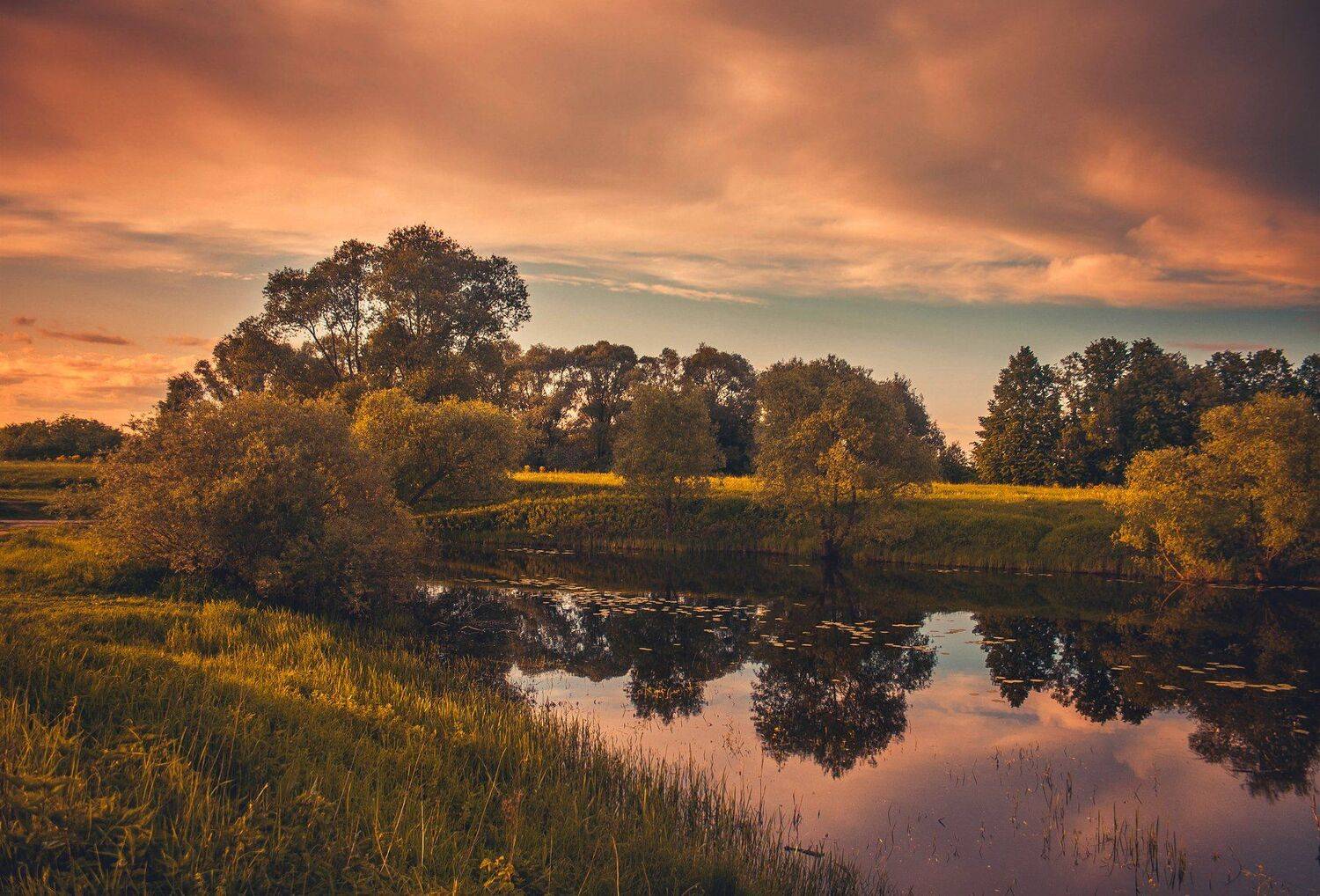 фото, природа, закат, лес, гроза, лето, Екатерина