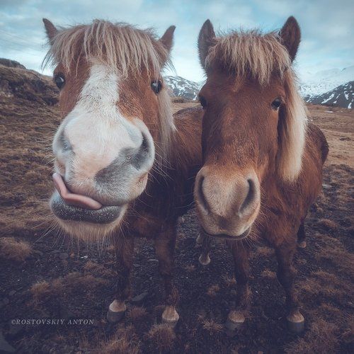 Забавные ребята