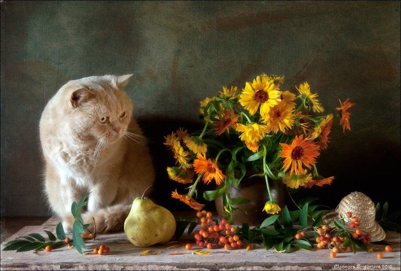 Предчувствие осени фото превью