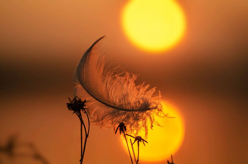 Между небом и землёй фото превью