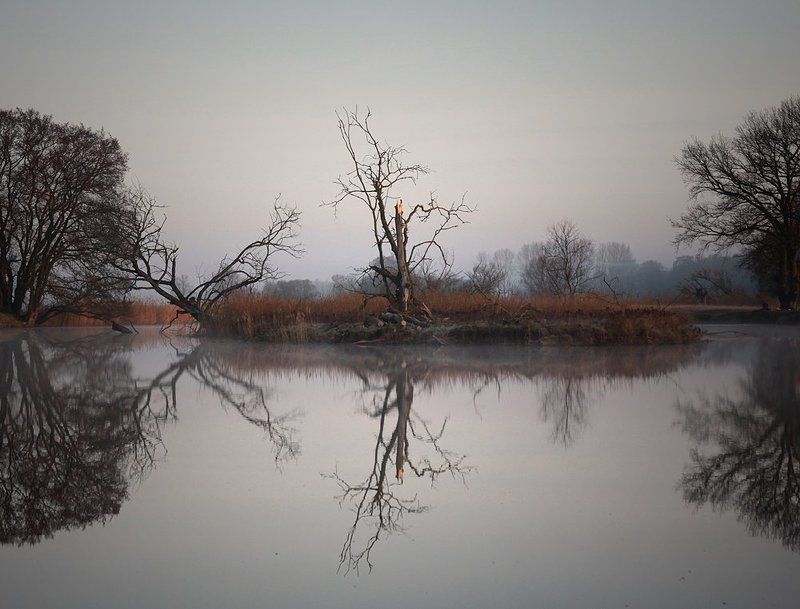 ... фото превью