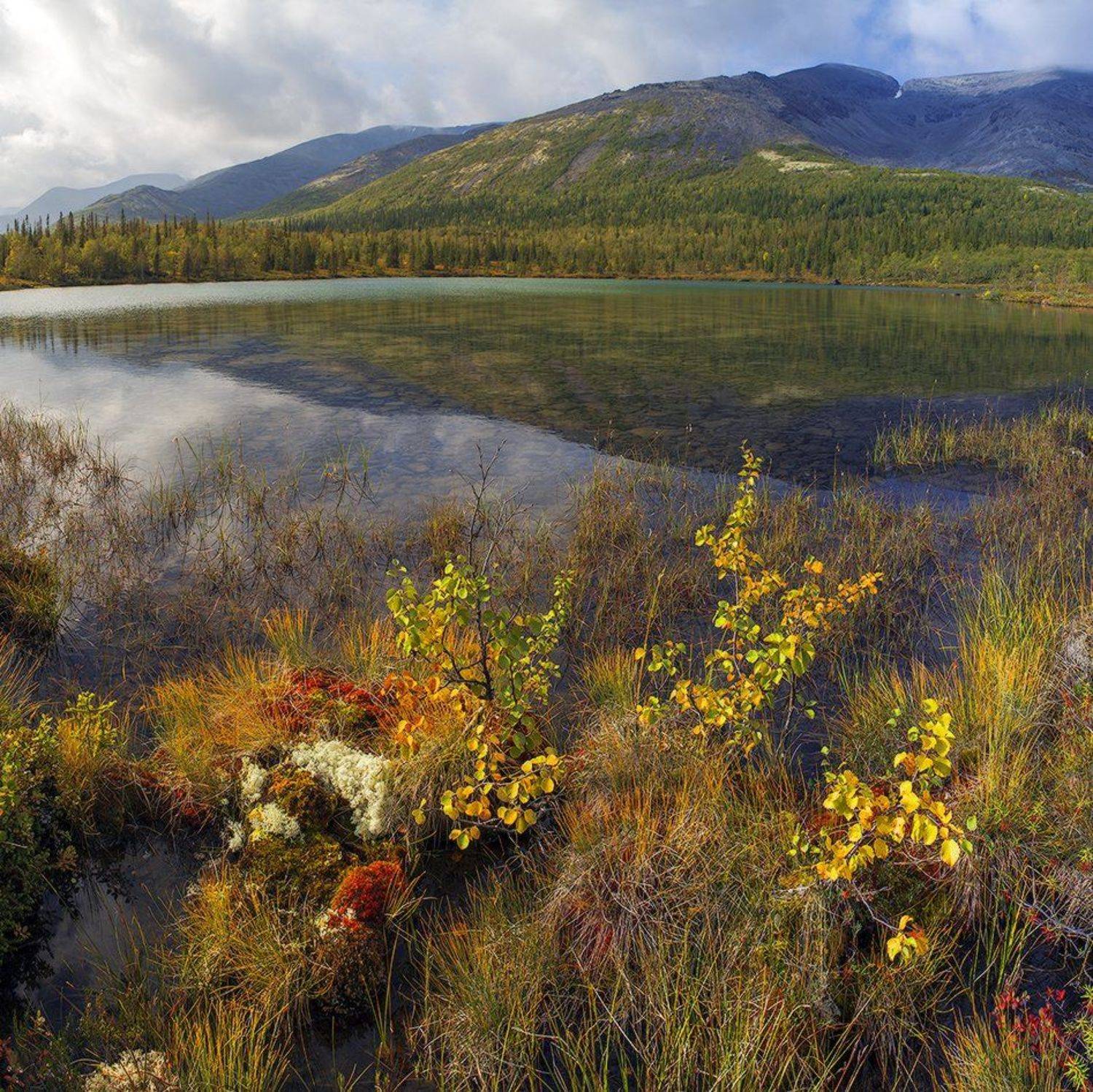 , Кочетков Евгений
