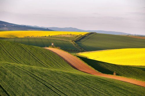 О майской Моравии