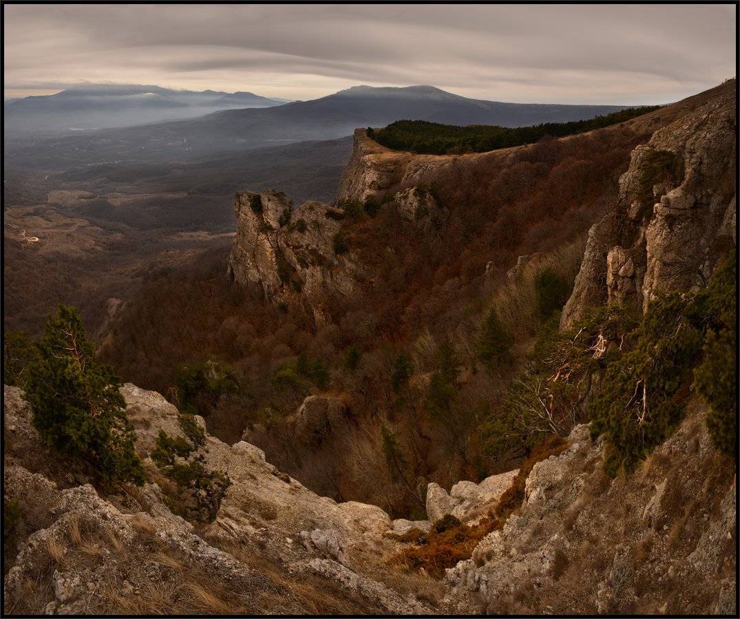 , Владимир Метцгер