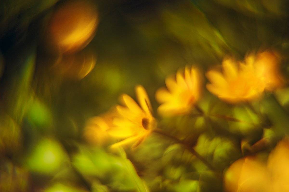 , Татьяна Аверина