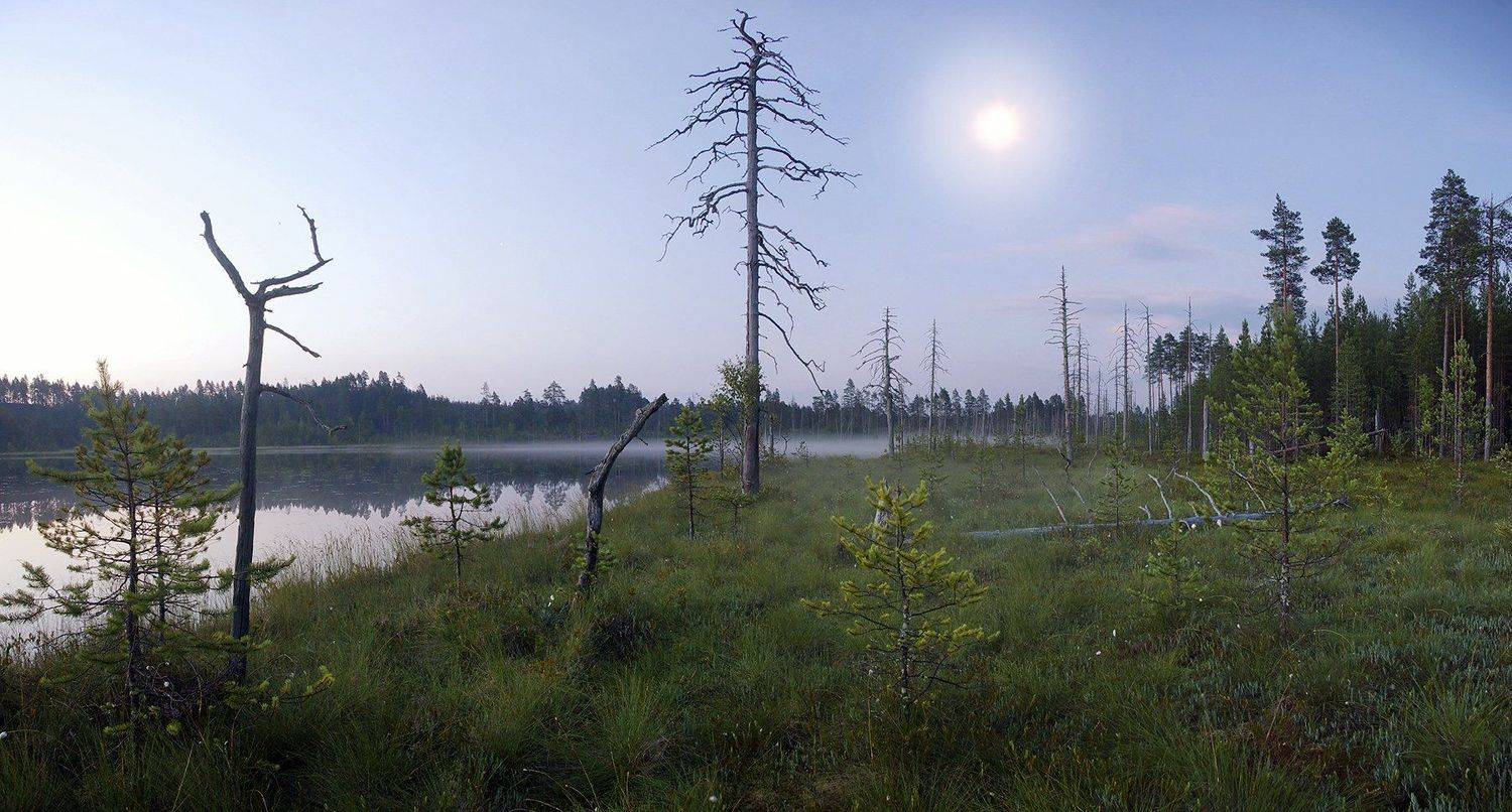 карелия болото, Виктор