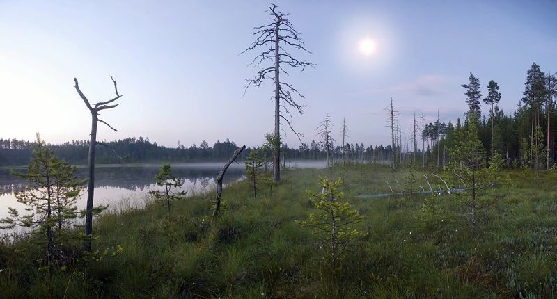 Полночной порою фото превью