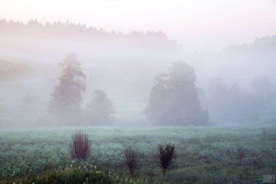 , Дмитрий Доронин