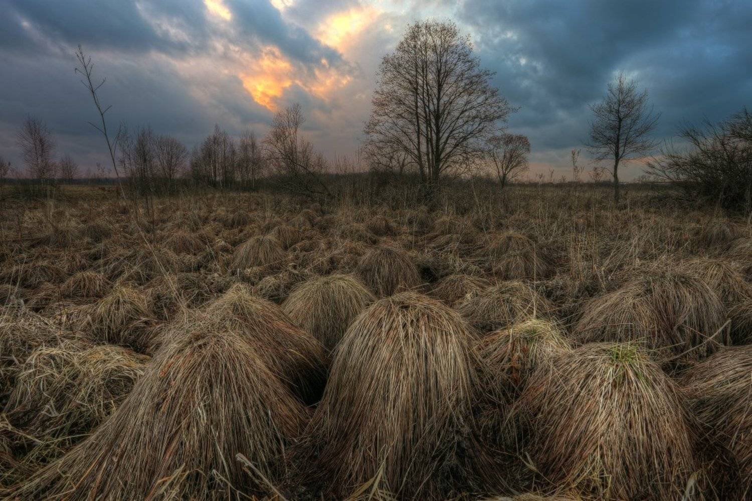 , Андрей Дитковский