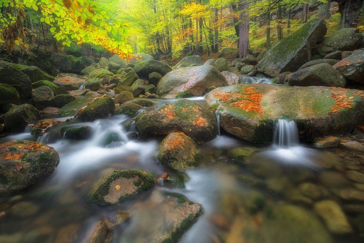 landscape,canon,light,autumn, Iza,Darek