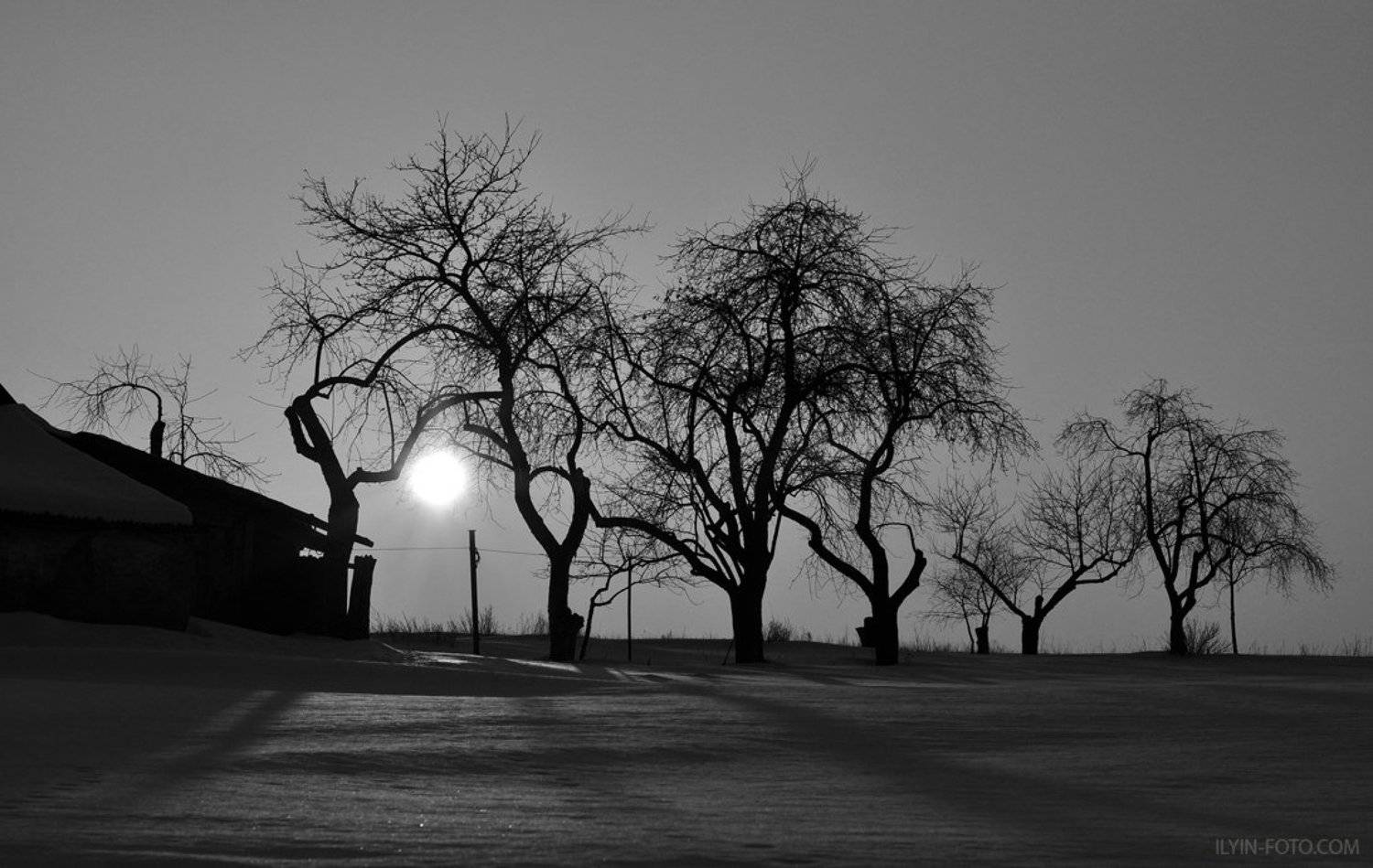 хутор,деревня,чернобелое,сад,зима,farm,village,black and white,garden,winter, Дмитрий Ильин